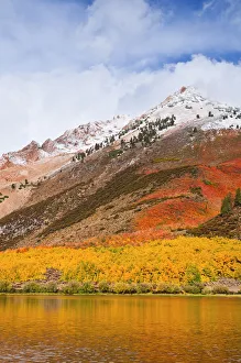 Sierra Prints: Fall color and early snow at North Lake, Inyo National Forest, Sierra Nevada Mountains