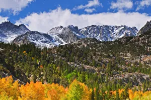 Images Dated 4th October 2010: Fall color and early snow at North Lake, Inyo National Forest, Sierra Nevada Mountains
