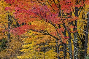 Fall color on the Keweenaw Peninsula in the Upper Peninsula of Michigan, USA