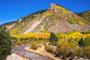 Fall color along Mineral Creek under Red Mountain Pass, San Juan National Forest