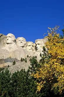 Fall color under Mount Rushmore, Mount Rushmore National Memorial, South Dakota, USA