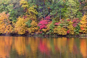 Stephen A Prints: Fall color at Stephen A. Forbes State Park, Marion County, Illinois