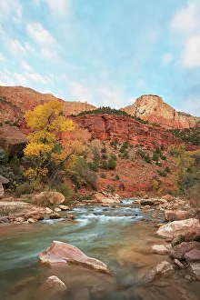 Alan Majchrowicz Prints: Fall color along the Virgin River, Zion National Park, Utah