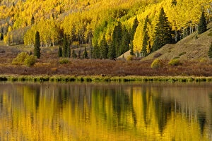 Fall colors reflected on Crystal Lake at sunrise, near Ouray, Colorado
