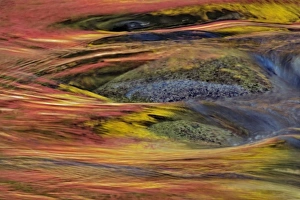 Images Dated 29th January 2010: Fall colors reflected on Swift River, New Hampshire