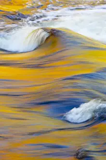 White Mountains Prints: Fall colors reflected in the Swift River in New Hampshires White Mountain National