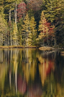Fall colors along shoreline of Irwin Lake, Hiawatha National Forest, Upper Peninsula