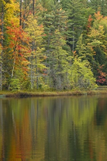 Fall colors on shoreline of Irwin Lake, Hiawatha National Forest, Alger County, Upper