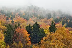 Fall colors in the southern Appalachian Mountains near Grandfather Mountain, North