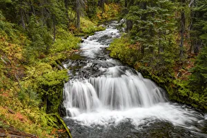 Mark Williford Prints: Fall Creek Falls, Deschutes National Forest, Oregon