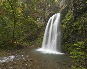 Images Dated 7th May 2011: Fall Creek Falls, Oregon