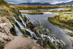 South Fork Prints: Fall Creek Waterfall landscape and autumn cottonwood trees near Swan Valley