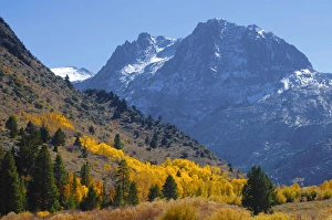 Sierras Prints: Fall in Eastern California