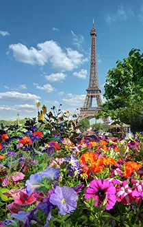 Editor's Picks: Fall and Eiffel Tower in Paris, France