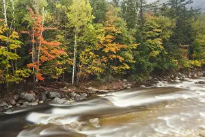 Blurred Prints: Fall foliage along the East Branch of the Pemigewasset River in New Hampshire s