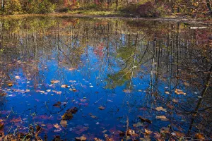 Fall foliage reflection in lake water