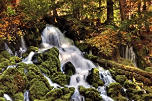 Magical Prints: A fall foliage scene Clearwater Falls in Oregon