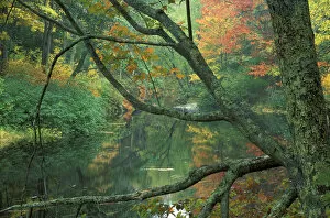 Fall along the Lamprey River in Durham, New Hampshire