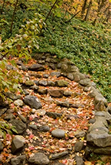 Images Dated 2006 October: 