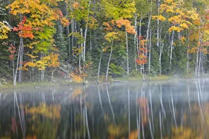 Images Dated 4th August 2020: Fall meets winter, snow on autumn colors, Council Lake, Hiawatha National Forest