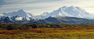 Images Dated 3rd September 2005: Fall tundra fronts Denali and other snow-capped peaks in the Alaska Range