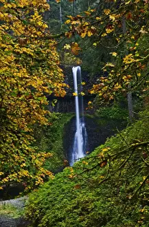 Silver Falls Prints: A fall veiw of Middle Falls at Silver Falls State Park Oregon