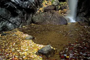 Falling Prints: Fall Waterfalls Pitcher Falls in New Hampshires White Mountains near the Kancamagus Highway