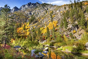Images Dated 10th October 2014: Fall Yellow Red Green Colors Reflection Wenatchee River Reflections Stevens Pass