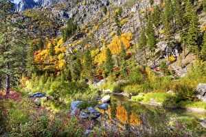 Reflect Prints: Fall Yellow Red Green Colors Reflection Wenatchee River Reflections Stevens Pass