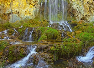 Ledge Prints: Bottom of the Falling Spring falls, outside of Covington, Virginia