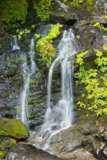 Late Summer Prints: Falls Creek Falls, Mount Rainier National Park; Washington; USA