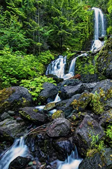 Images Dated 7th September 2023: Falls Creek Falls in Mt. Rainier National Park