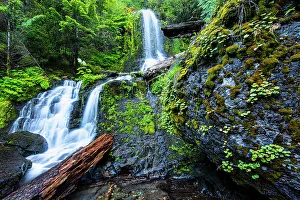 Images Dated 7th September 2023: Falls Creek Falls in Mt. Rainier National Park