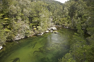 South Is Prints: Falls River, Abel Tasman Coastal Track, Abel Tasman National Park, Nelson Region