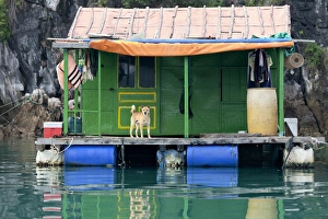 Houseboat Prints: Famous for its precipitous limestone cliffs, thousands of islands, and rich biodiversity