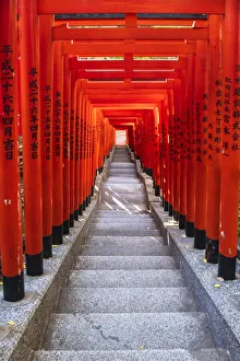 Staircase Prints: Famous Torii, or gates of the entrance to the Hie Shrine in Tokyo, Japan