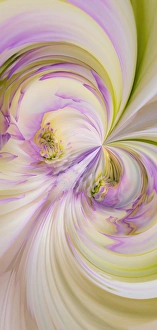 Birmingham Prints: Fantasy version, Dahlia Flowers, Birmingham, AL
