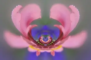 Fantasy version of Single Common Zinnia flower in garden with out of foucs flower background