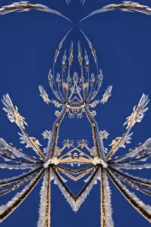 Crystal Prints: Fantasy version, Skyward view of Cow Parsnip in winter covered in morning frost, Homer