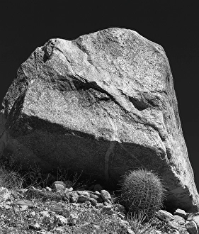 Images Dated 4th November 2024: Fargo Canyon, California