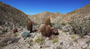 Images Dated 4th November 2024: Fargo Canyon, California