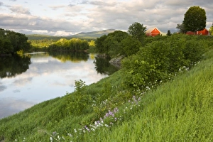 Hill Side Prints: A farm on the banks of the Connecticut River in Newbury, Vermont. Phlox. (Not available
