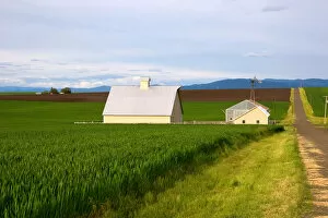 Farm on the Camas Prairie of Idaho near Grangeville. grangeville, farm, wheat