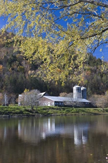 Simple Prints: A farm on the Connecticut River in Maidstone, Vermont. Silver maple. Fall