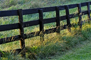 Kentucky Prints: Farm fence at sunrise, Oldham County, Kentucky