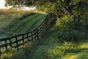 Oldham County Prints: Farm fence at sunrise, Oldham County, Kentucky