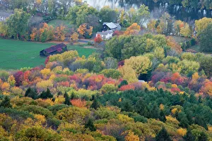 Connecticut Prints: Farm in forest in fall next to the Connecticut River in Hadley, Massachusetts