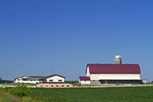 Wisconsin Prints: Farm and soybean crop north of Eau Claire, Wisconsin, USA