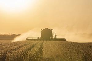 Images Dated 21st September 2015: Farmer harvesting soybeans at sunset, Marion Co. IL