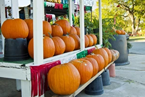 Farmers Market, autumn in Luling, Texas